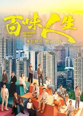 电视剧 商海风云